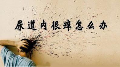 阳江男性尿道炎会有什么的危害