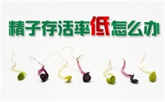 死精症的主要产生原因有哪些